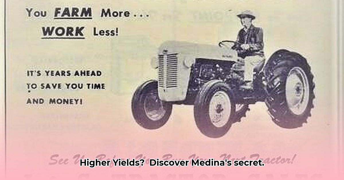 medina-tractor-sales